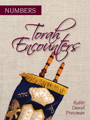 cover image of Torah Encounters: Numbers